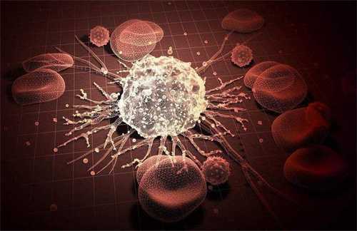 宝宝发烧的紧急处理指南：6个月大小的宝宝该如何应对发烧？