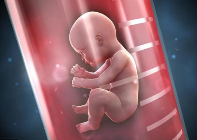 燕窝备孕：吃燕窝能提高怀孕几率吗？